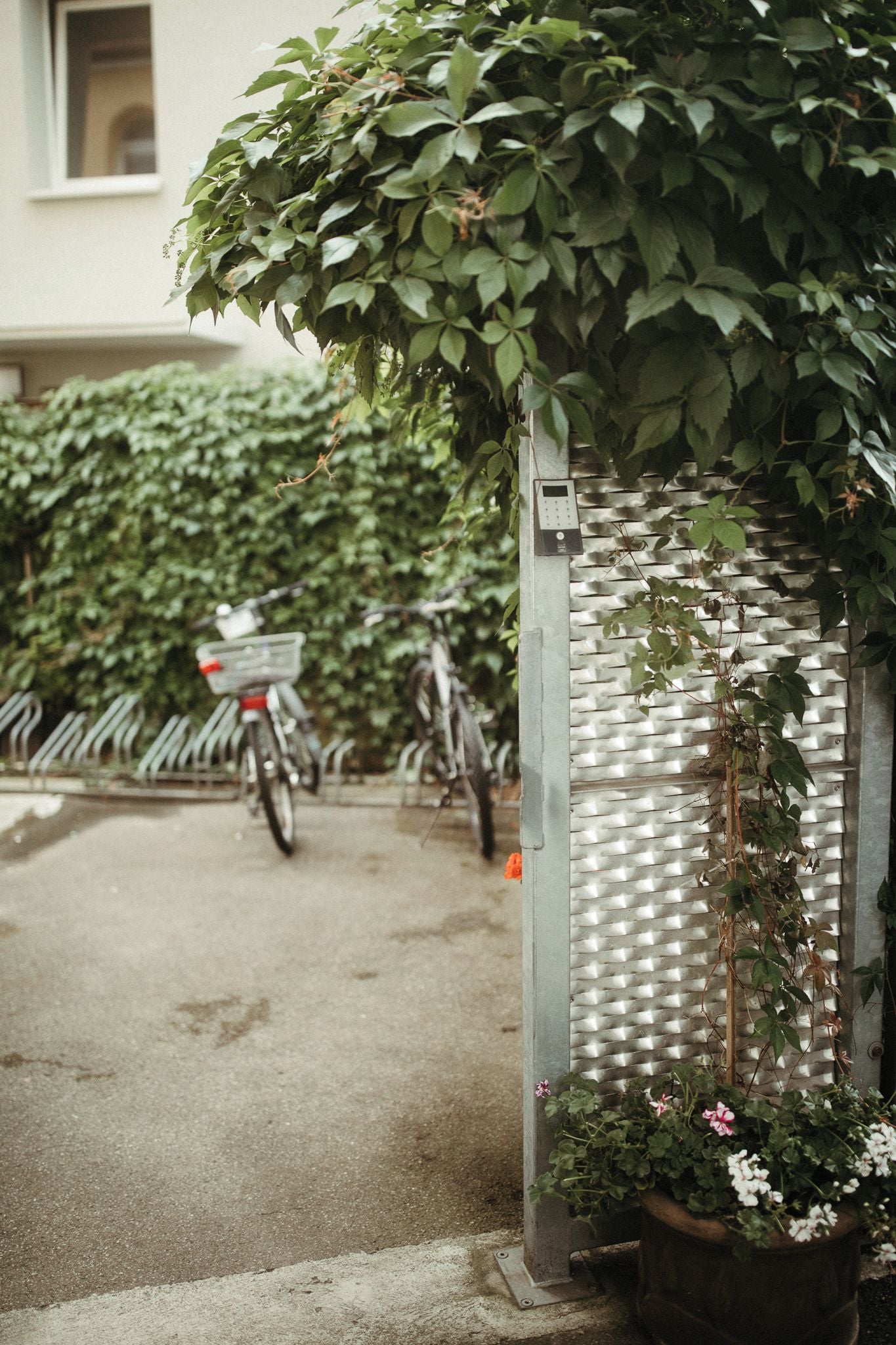 Una reja metálica cubierta de plantas, una bicicleta estacionada detrás y un edificio al fondo.