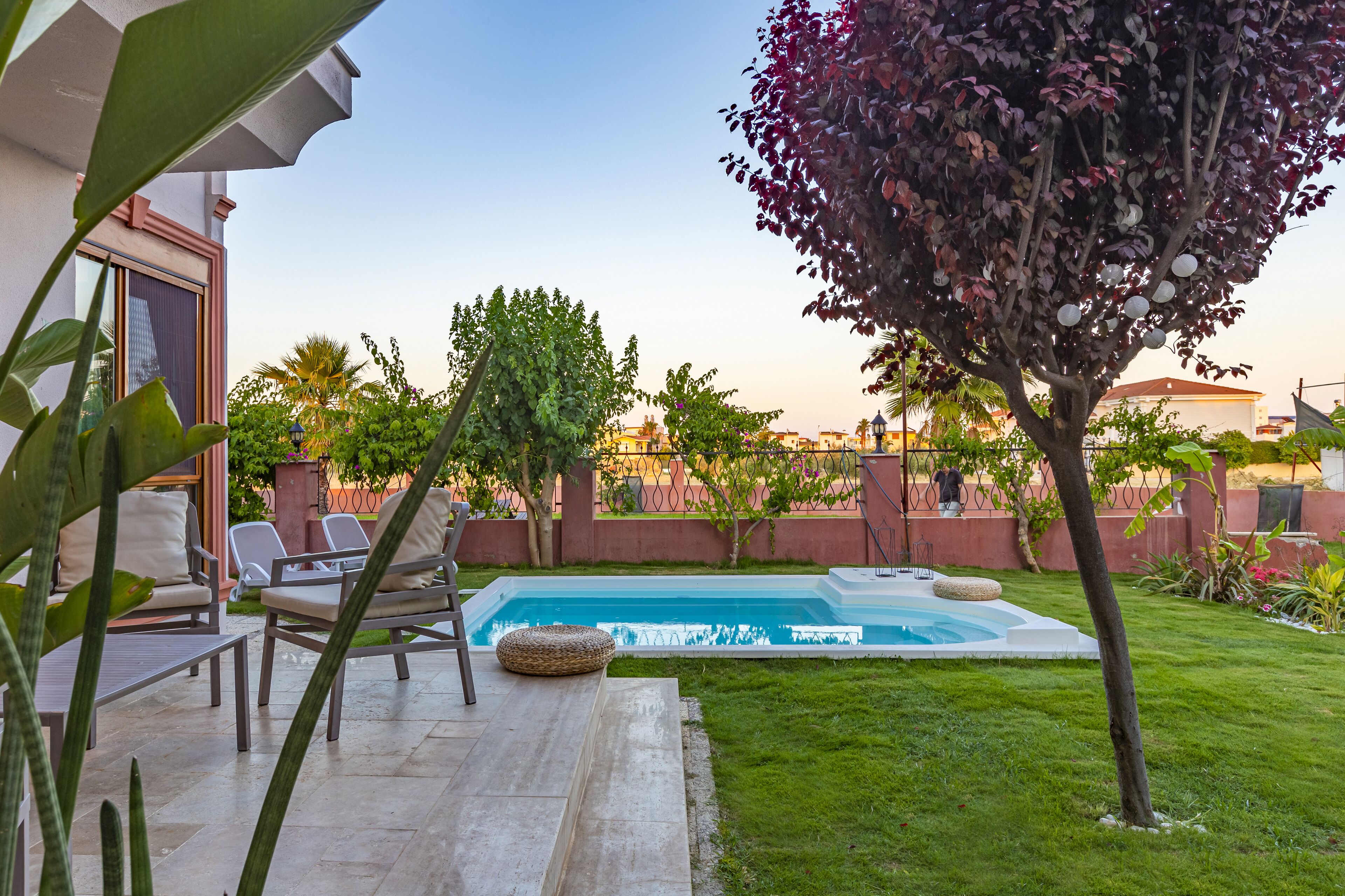 A backyard with a swimming pool, lounge chairs, and a tree.