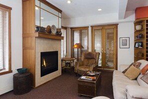 Fireplace, DVD player