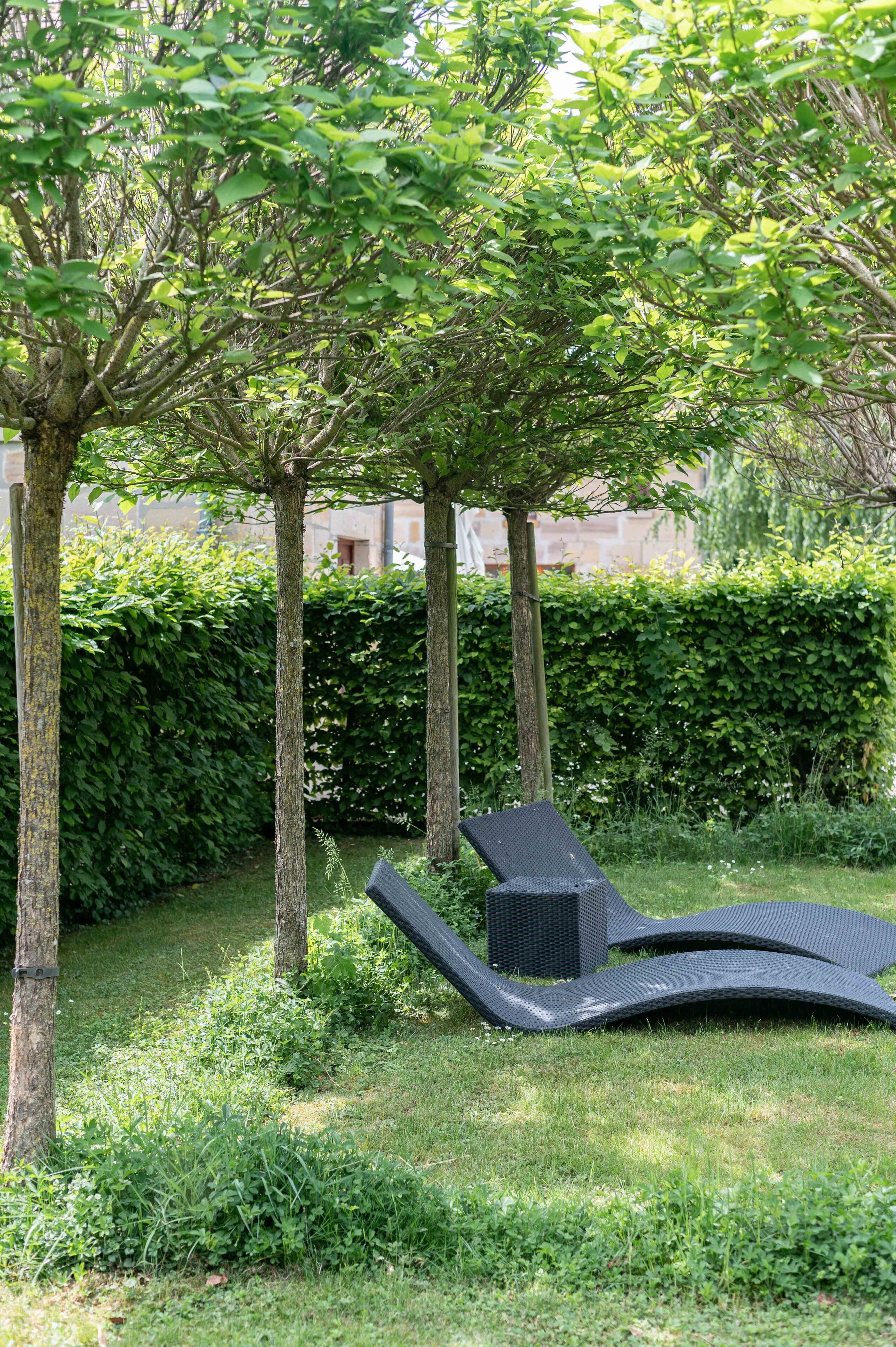 Un'area giardino con una poltrona da relax nera e un tavolino, circondata da alberi e un siepe.