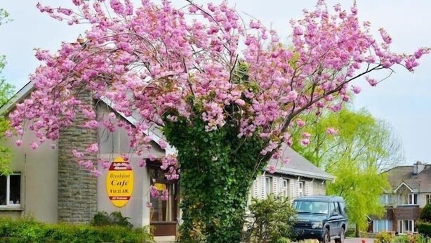 A building with a stone facade, a sign for a breakfast cafe, and a pink flowering tree in front. - Ach na Sheen Guest House (Tipperary)