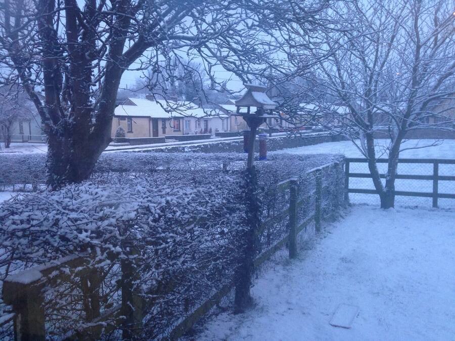 A snow-covered garden with a wooden fence, a tree, and a traditional Japanese lantern.