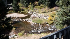 Townhome, 1 Bedroom | Property grounds - Pinecreek I - 1 BR by Peak Property Management (Breckenridge)