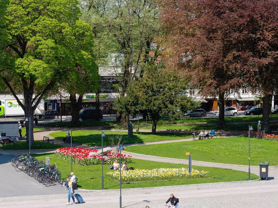 En park med ett blomsterland, ett cykelställ och en staty.