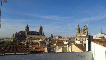 A cityscape with historic buildings, including a prominent cathedral with multiple domes and towers, surrounded by residential areas with tiled roofs.