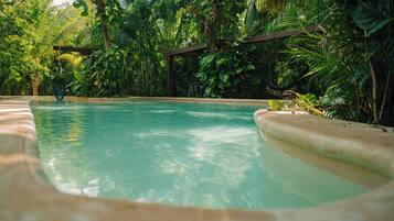 Una piscina cristalina rodeada de exuberante vegetación y una hamaca.