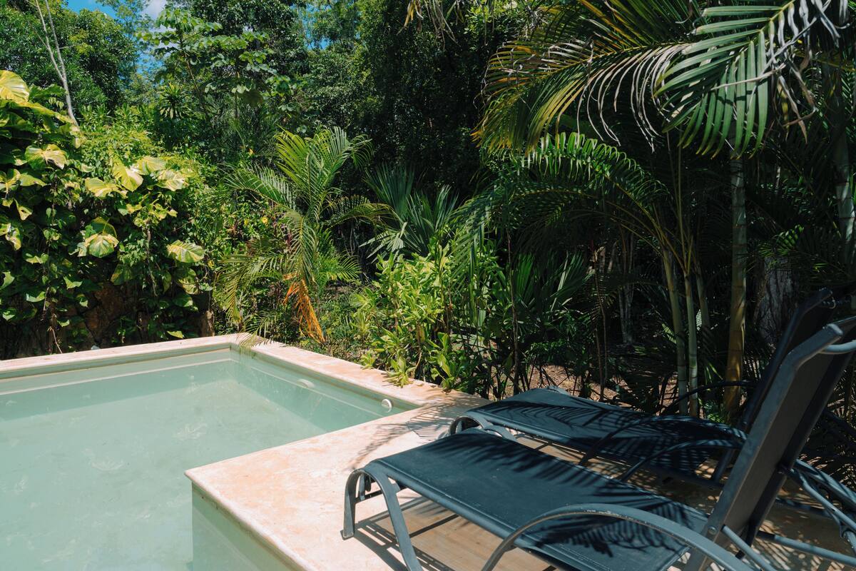 A pool with lounge chairs, surrounded by lush greenery.