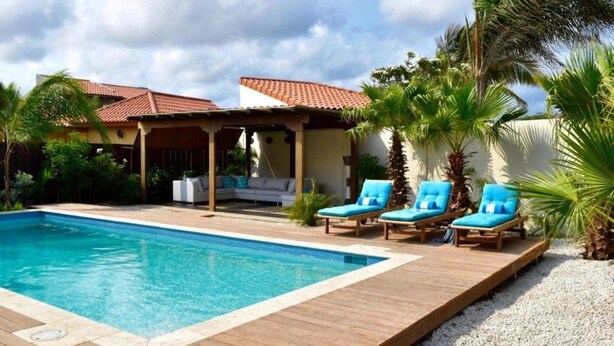 A swimming pool with lounge chairs, a covered patio, and palm trees. - Endless Summer (Noord)