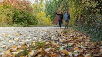 Un chemin pavé, parsemé de feuilles, bordé d’arbres et d’une végétation luxuriante.