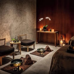 Sauna, tab panas, bilik wap, rawatan badan, urutan tisu mendalam