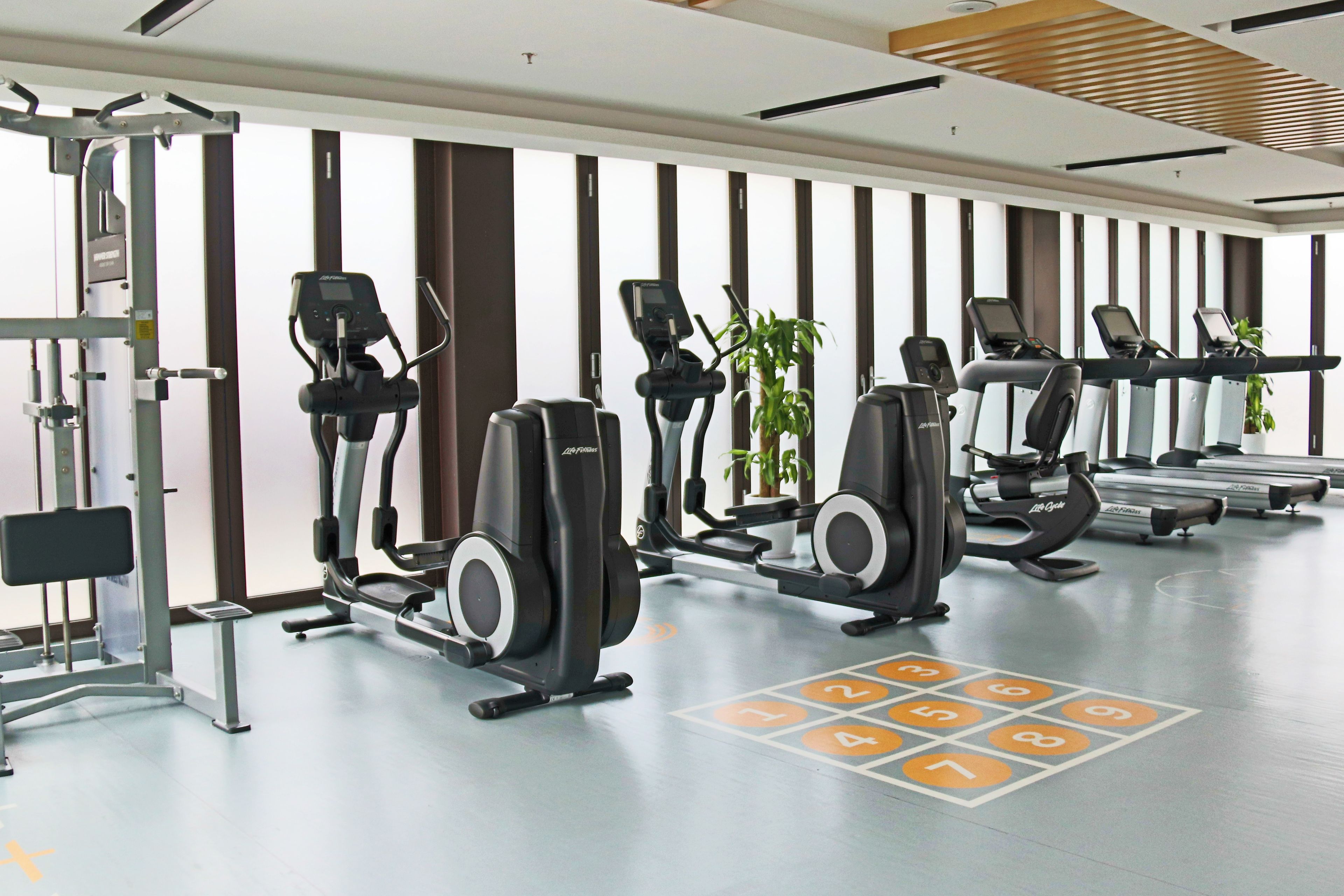 A gym with treadmills, ellipticals, and weight machines.