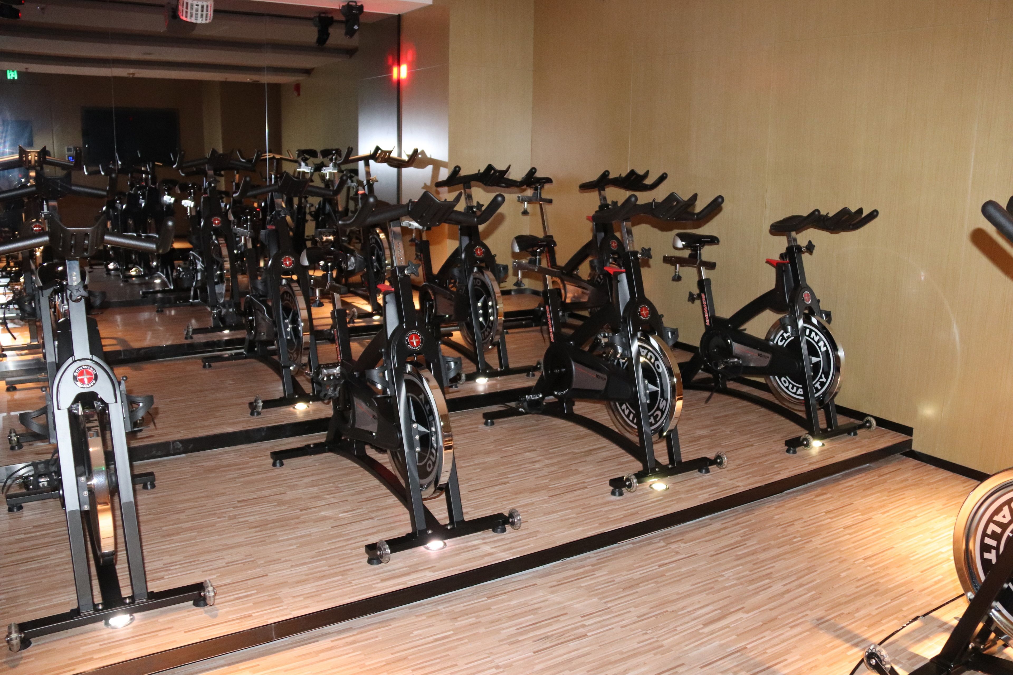A gym with multiple stationary bikes arranged in rows.