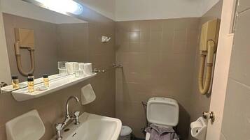 Shower, free toiletries, hair dryer, towels