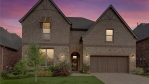 Unclassified image, 4 of 10, button - Single Family Home in Dallas (Irving)