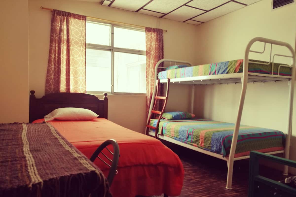 Chambre Triple Ăconomique, plusieurs lits, salle de bains commune, vue ville
