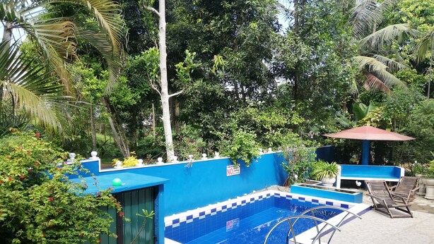 A swimming pool with a blue and white tiled design, surrounded by lush greenery and a blue wall. - Abha Villa (Galle)