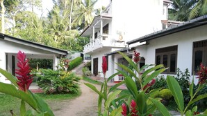 A pathway leading to a white building with a balcony, surrounded by lush greenery and flowering plants. - Abha Villa (Galle)