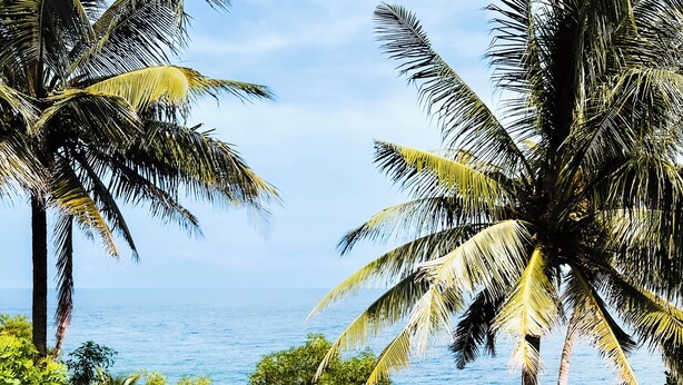 A pool with a floating basket containing food and flowers, surrounded by palm trees and a view of the sea. - Bintana Sa Paraiso (Mambajao)