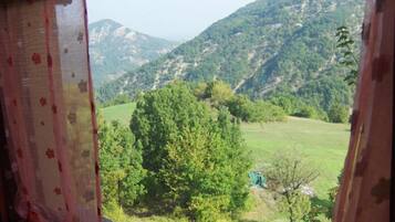 Vista desde una ventana con cortina, sobre un paisaje verde con árboles y colinas.