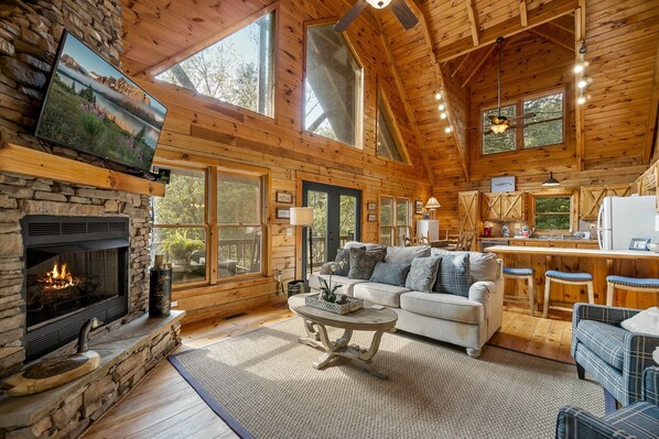 TV, fireplace, video games, table football