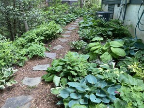 Property grounds - Garden Cottage 2.5 Miles to Downtown With Private, Wooded Surroundings (Asheville)