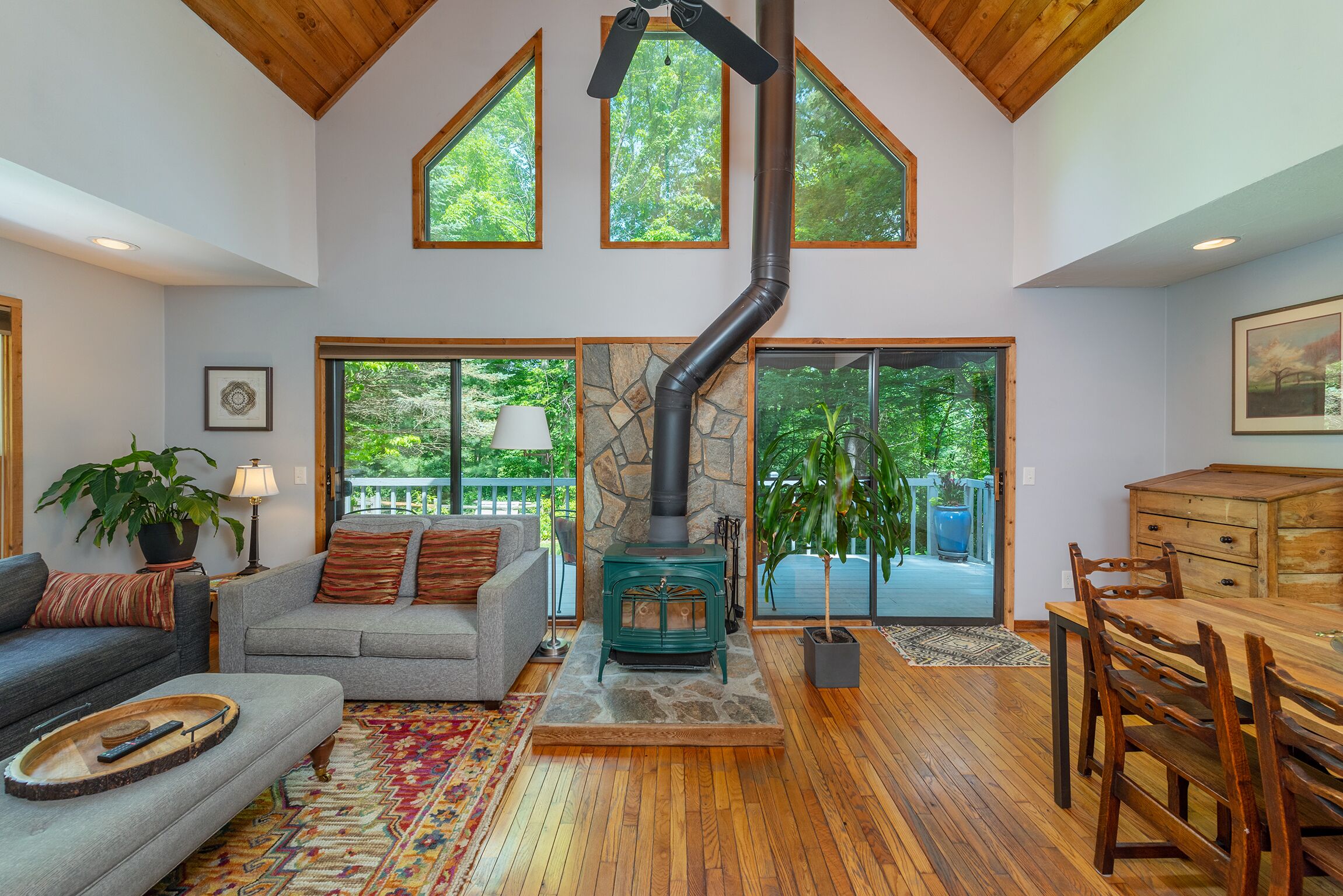 TV, fireplace, DVD player, books