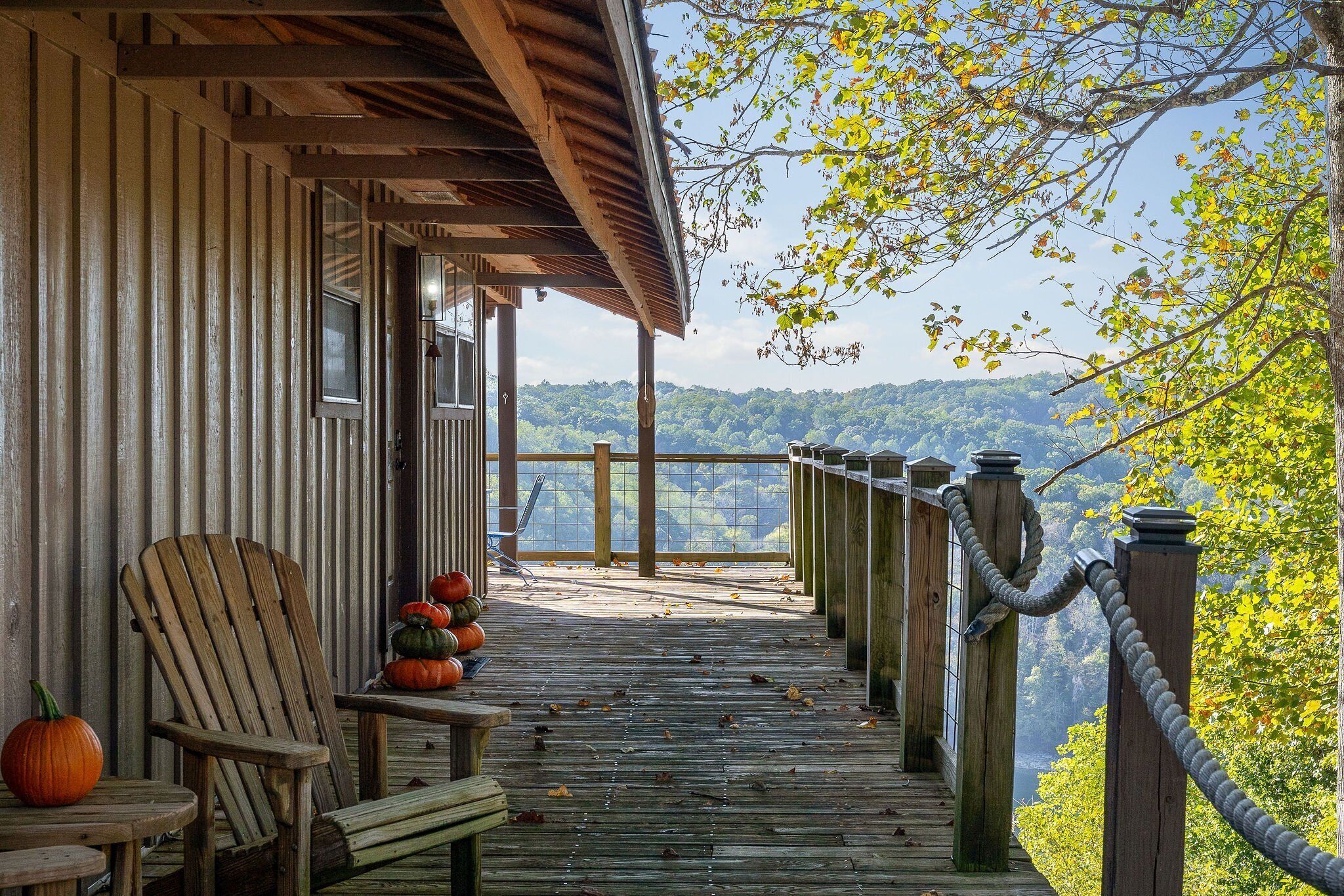 Une terrasse en bois offrant une vue sur un paysage boisé.