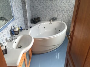 Combined shower/bathtub, jetted bath, hair dryer, bidet