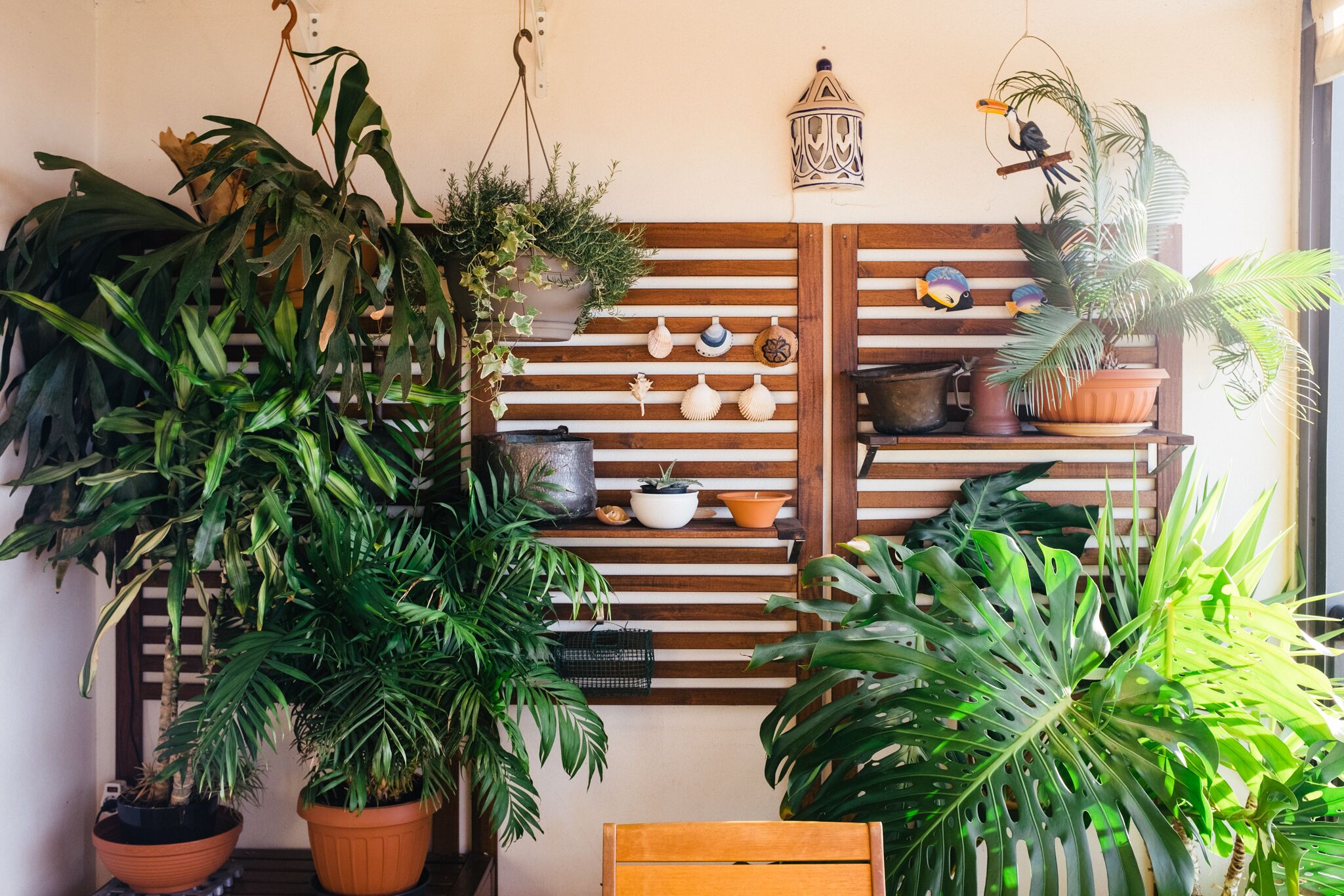 Une pièce avec un mur recouvert de lambris en bois, diverses plantes en pot, une lanterne suspendue et des coquillages décoratifs.