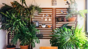 Une pièce avec un mur recouvert de lambris en bois, diverses plantes en pot, une lanterne suspendue et des coquillages décoratifs.