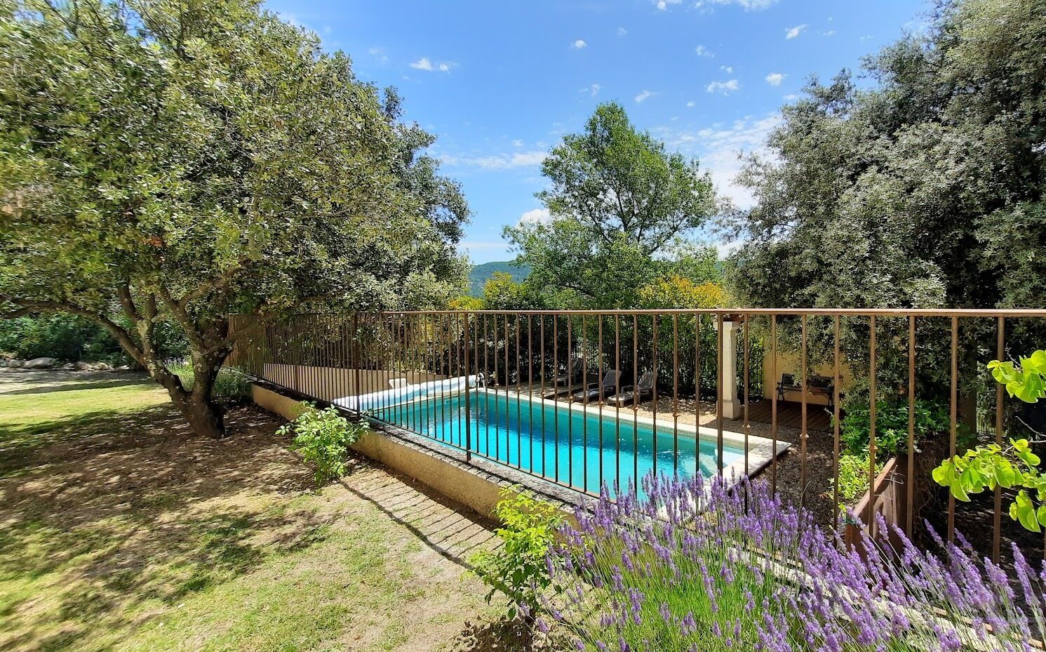 A rectangular swimming pool surrounded by a metal fence, with trees and lavender plants nearby.