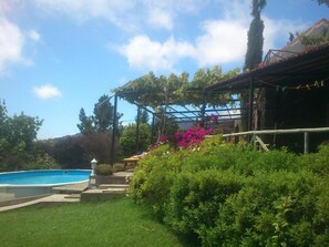A backyard with a swimming pool, a pergola with climbing plants, and a variety of shrubs and flowers. - Ocean View Cottage - Stone rocks house with e beautiful ocean view. (Calheta)