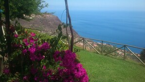 A coastal view with a grassy area and purple flowers in the foreground.