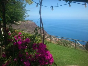 A coastal view with a grassy area and purple flowers in the foreground. - Ocean View Cottage - Stone rocks house with e beautiful ocean view. (Calheta)