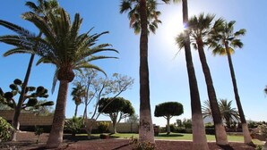 A landscaped garden with tall palm trees and neatly trimmed bushes, set against a clear blue sky. - ViVa Royal (Arona)