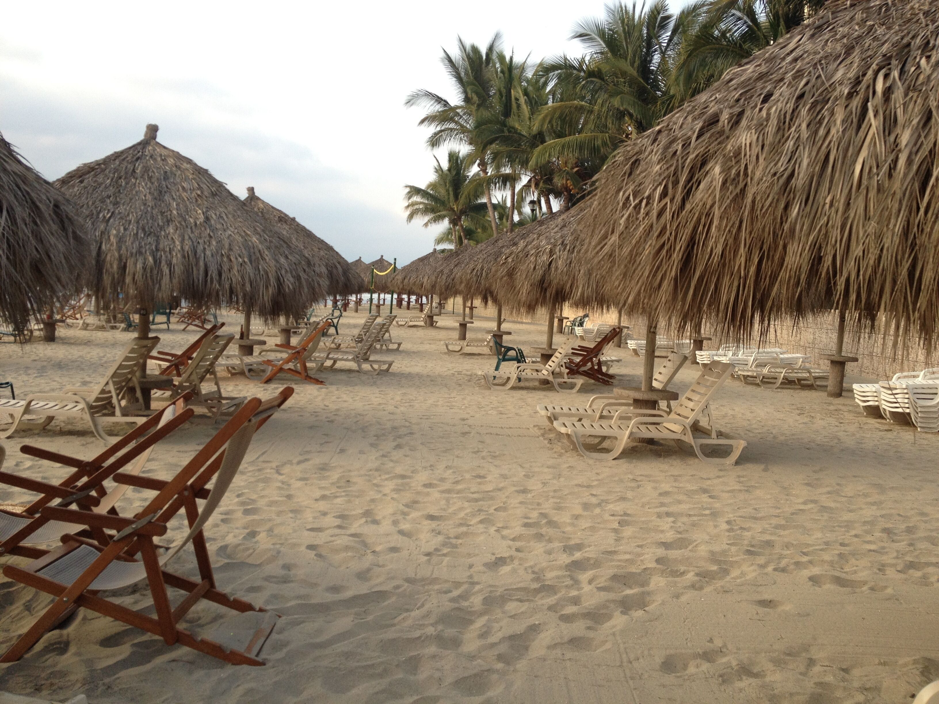 A beach with rows of sun loungers and thatched umbrellas.