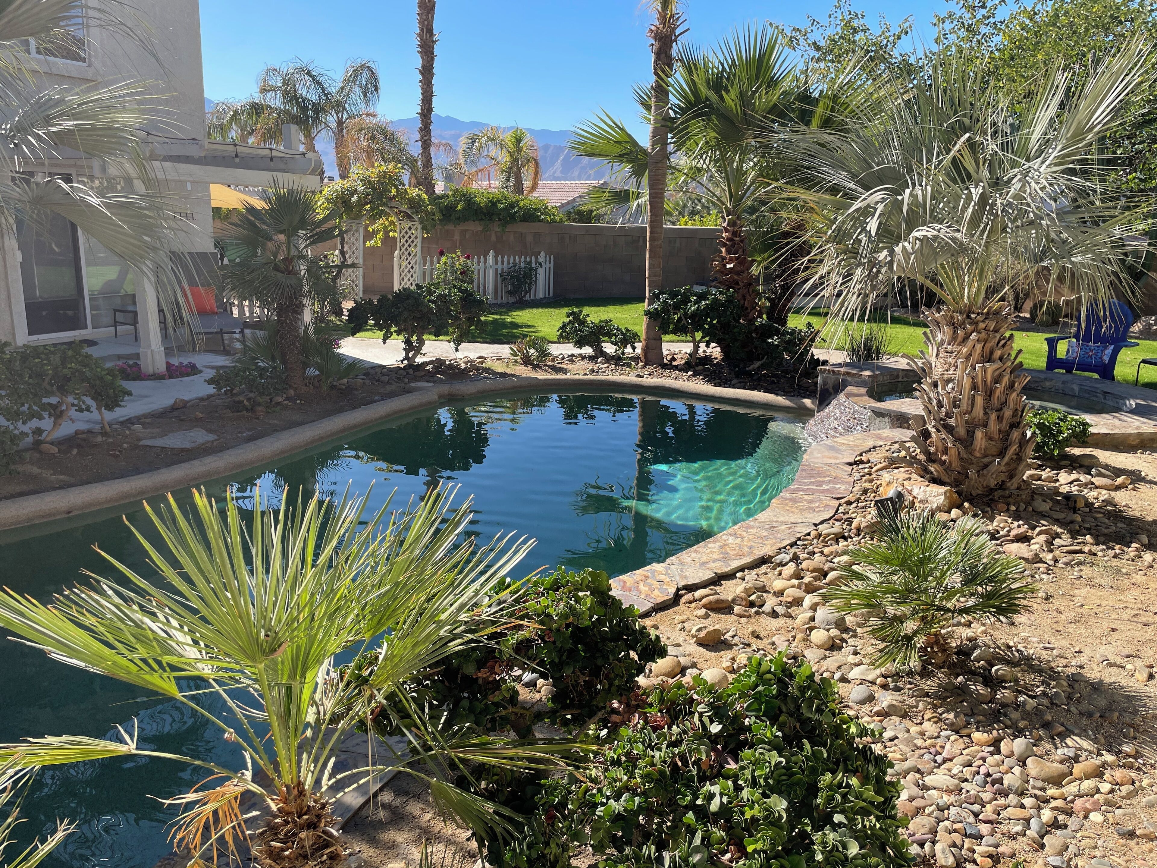 A swimming pool surrounded by palm trees and rocks, with a view of mountains in the background.