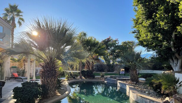 A serene outdoor pool area with clear water, surrounded by various plants and trees, and a lounge chair.