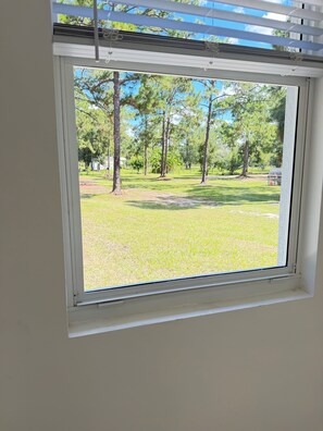 Una ventana con vistas a un área exterior con césped, árboles y cielo despejado.