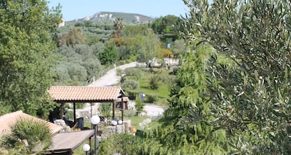 Agriturismo Fassi