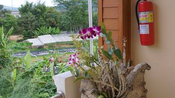 A balcony with a potted plant, a fire extinguisher, and a view of a garden.