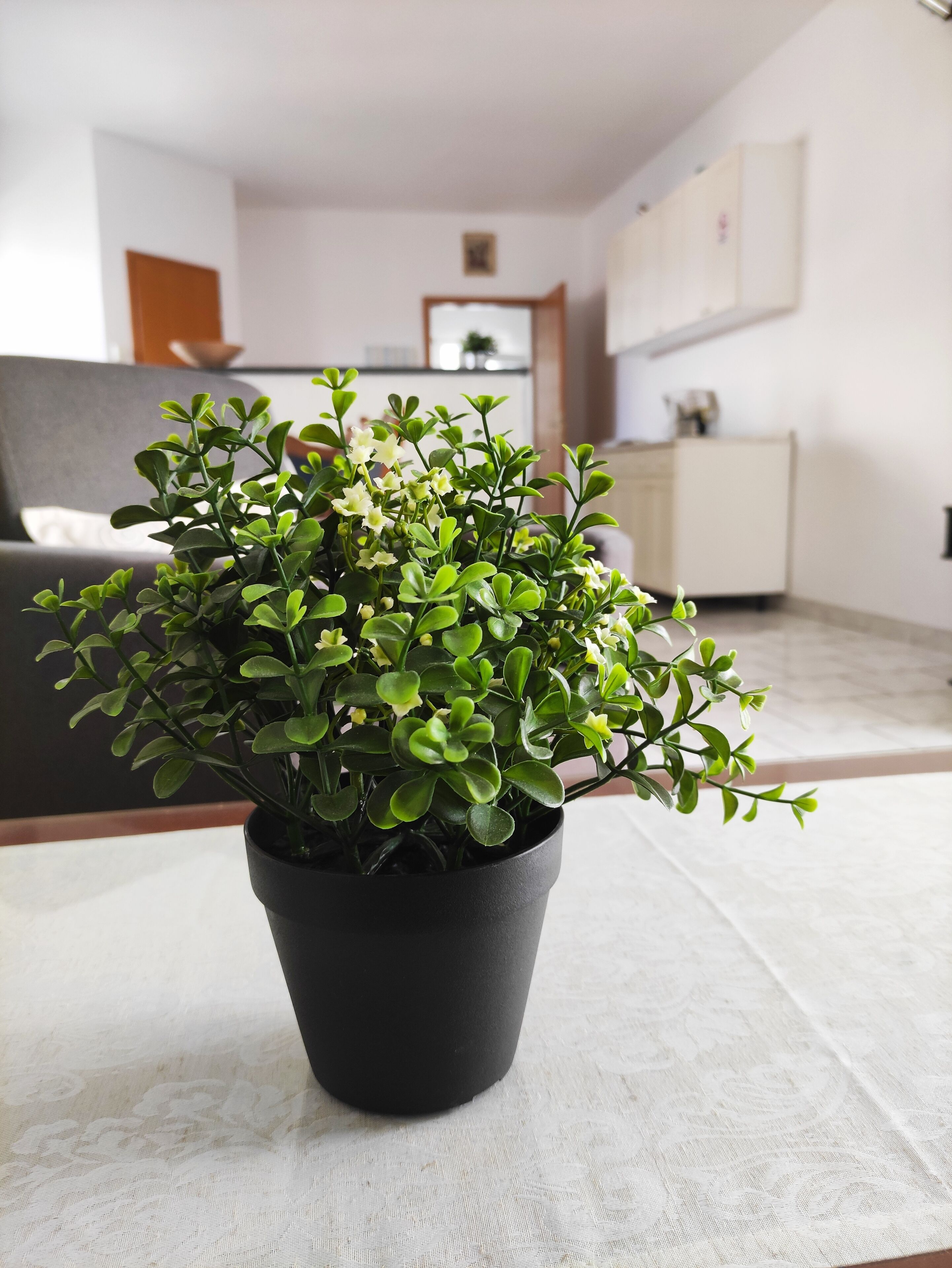 Exclusive Apartment, 2 Bedrooms, Balcony, Sea View | Living area | 80-cm flat-screen TV with satellite channels, TV