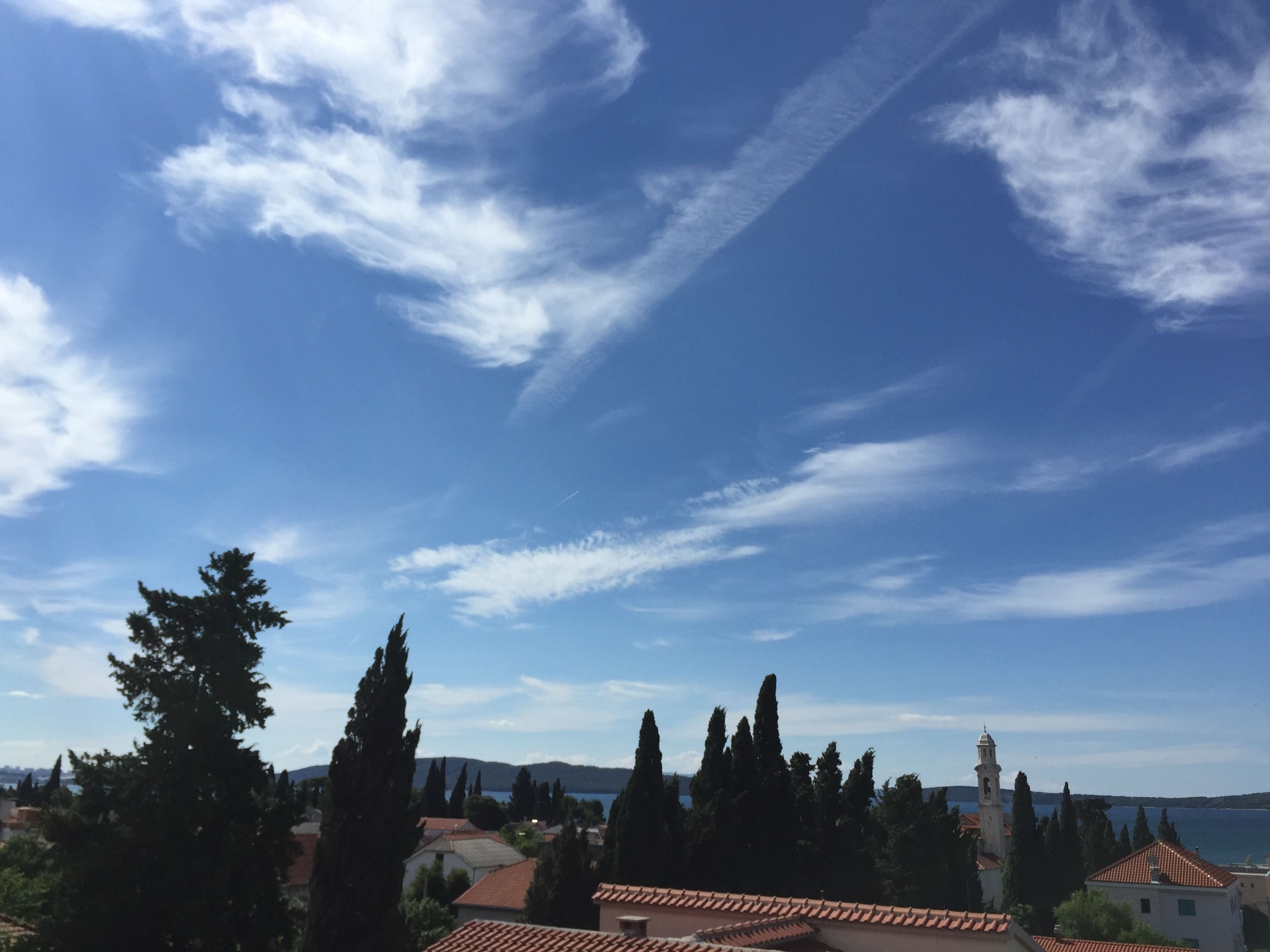 A coastal town with a clear sky, tall cypress trees, and a distant view of the sea.