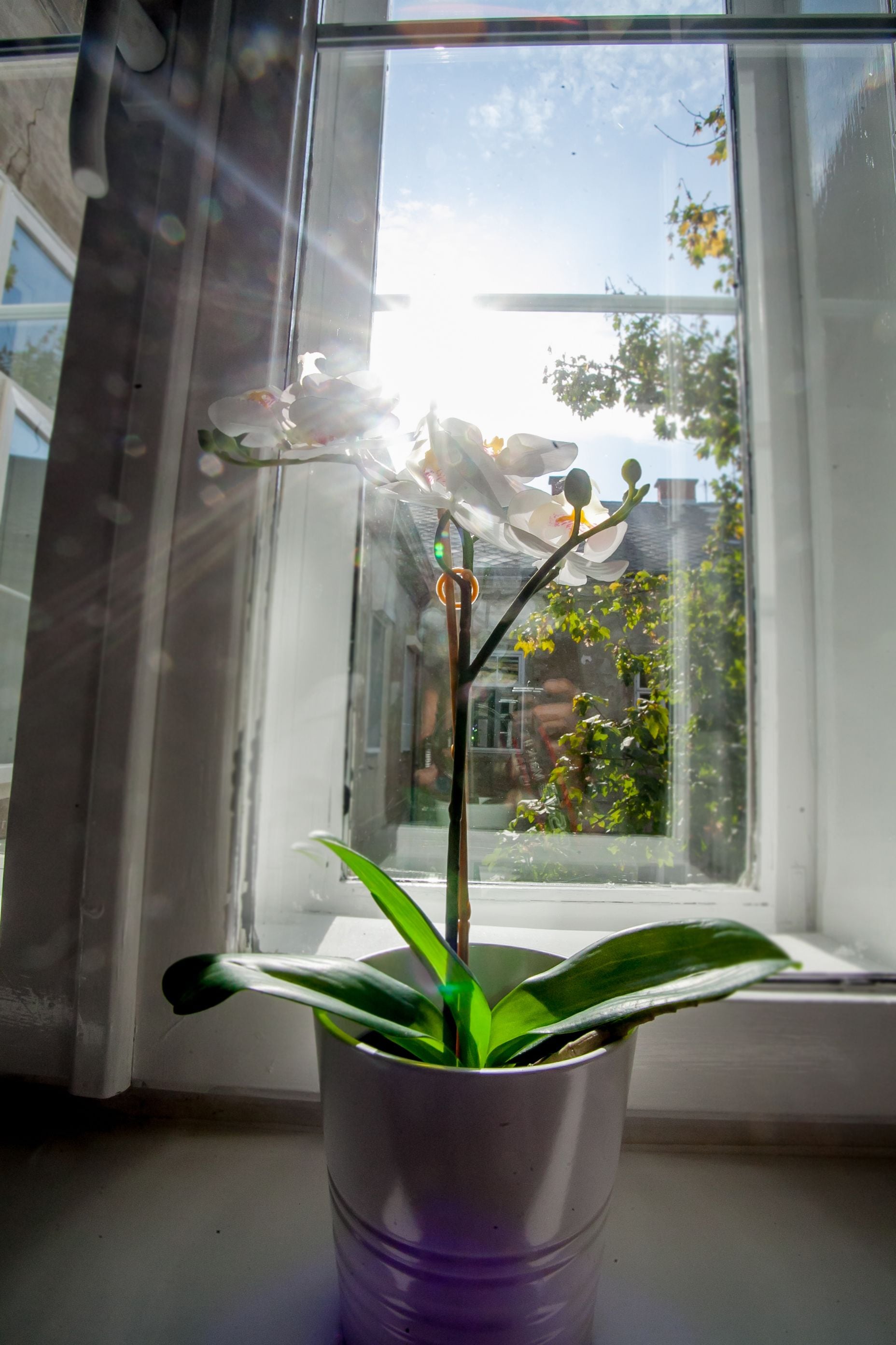 Photo - Zagreb City Vibe Apartments & Rooms