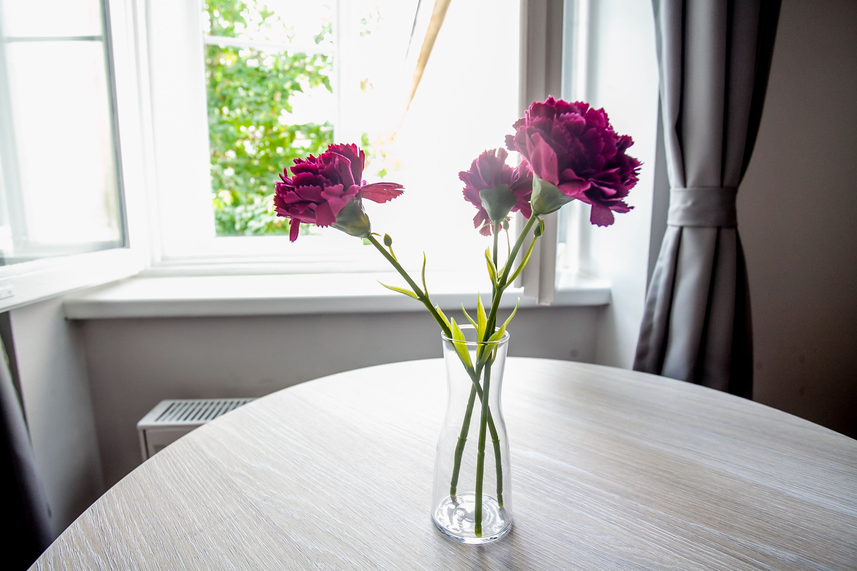 Photo - Zagreb City Vibe Apartments & Rooms