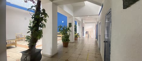Recepción