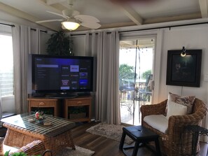 Smart TV, DVD player, books