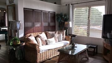 Smart TV, reproductor de DVD y libros