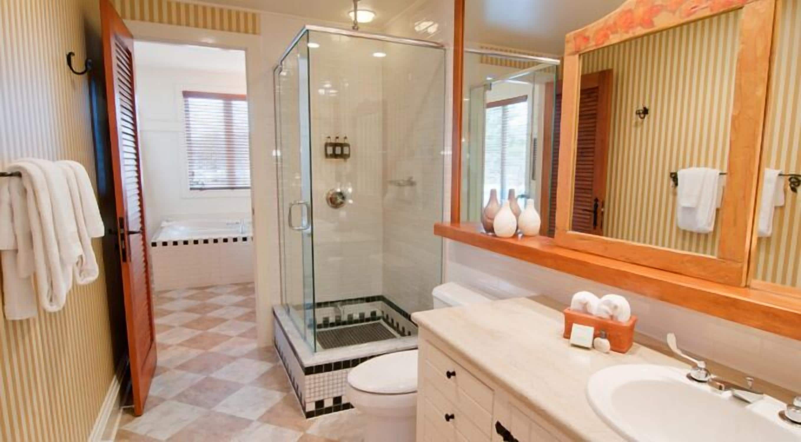 Combined shower/tub, jetted tub, hair dryer, towels