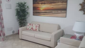 Télévision, lecteur de DVD, livres